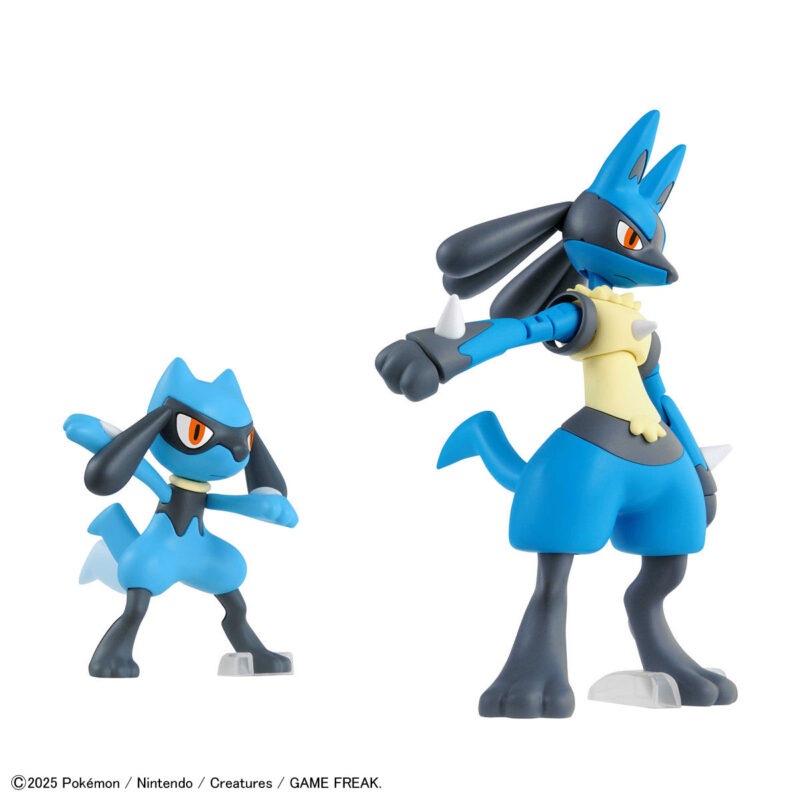 APARTADO PREVENTA Bandai Hobby  Pokémon Model Kit Riolu & Lucario